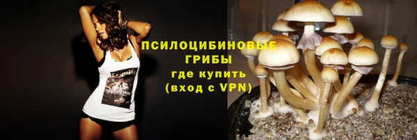 ALPHA-PVP Белокуриха