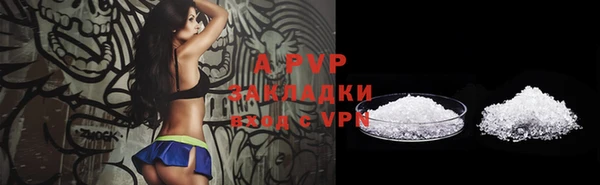 индика Белоозёрский