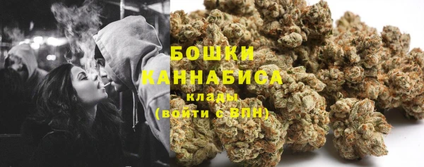 индика Белоозёрский