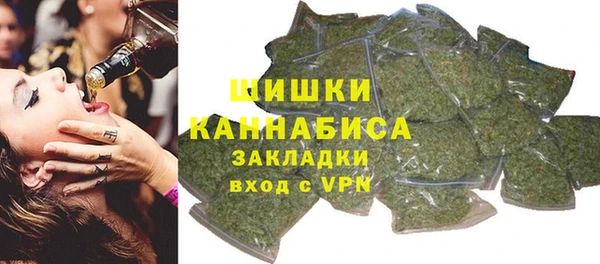 индика Белоозёрский