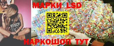 spice Свободный